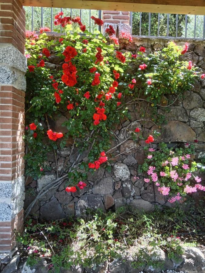 Casa Piredda Icoré Dorgali Exterior foto